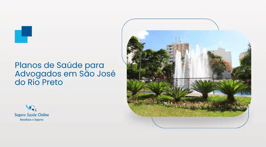 Advogados consultando opções de planos de saúde em São José do Rio Preto